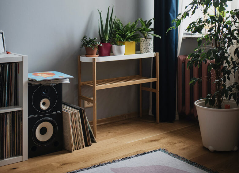 adding speakers to your office or living room