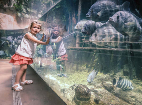Little-girl-at-aquarium