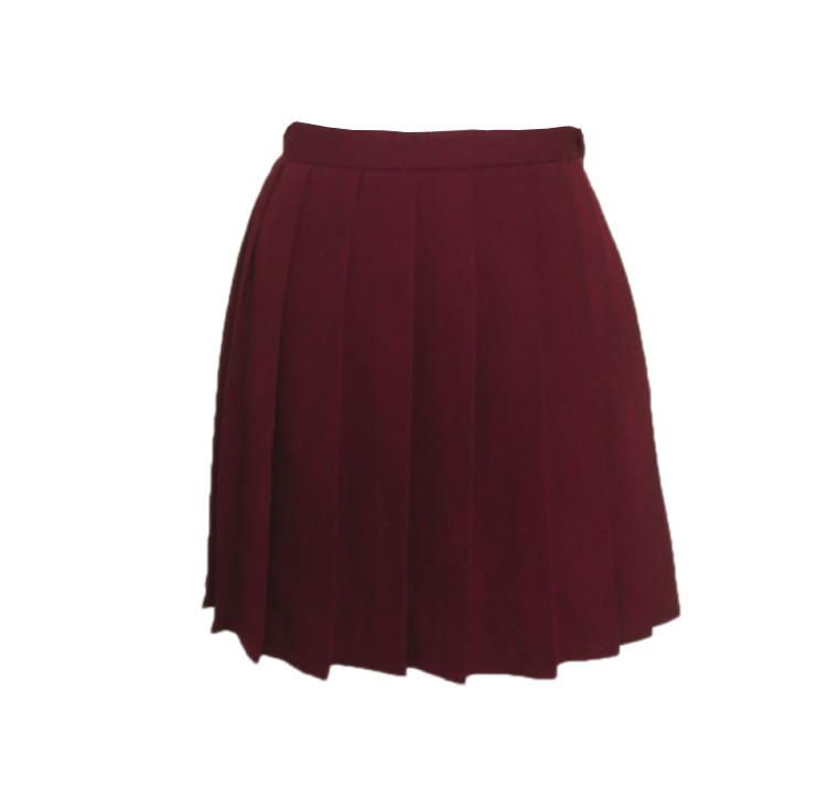 multi color pleated schoolgirls skirt