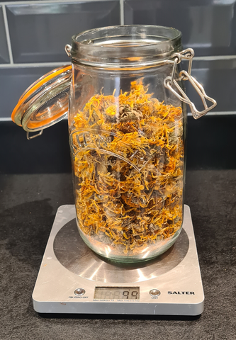 Using dried calendula petals and flowers to make a calendula oil infusion