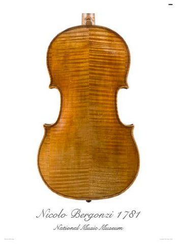 Photo of viola back by Nicola Bergonzi, 1781