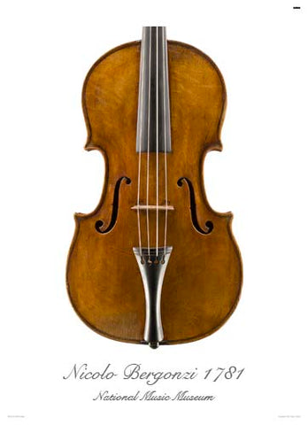 Photo of viola front by Nicola Bergonzi, 1781