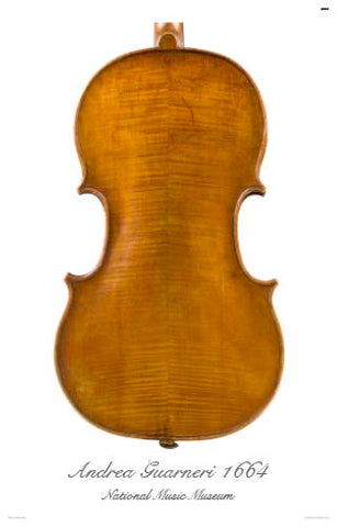 Photo of back of Andrea Guarneri tenor viola, 1664