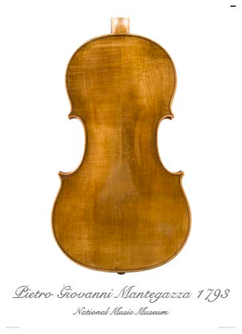 Photo of viola back by Pietro Mantegazza, 1793