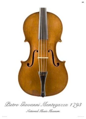 Photo of viola front by Pietro Mantegazza, 1793