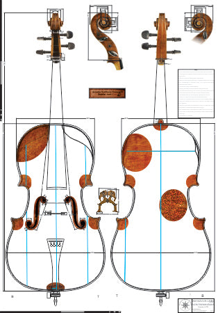 Technical drawing, Cello, 'The Fruh,' by Stradivari