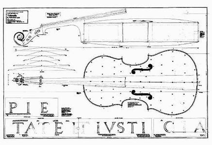 Technical drawing, Amati's 'King' cello, ca. 1550