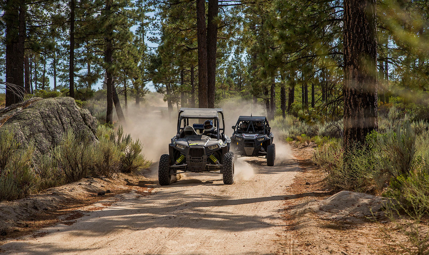 Pine Forest Loop Baja