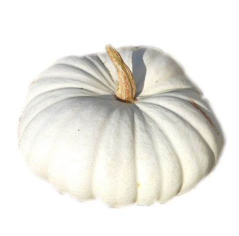 Musque de Provance Pumpkin - Glen Seeds