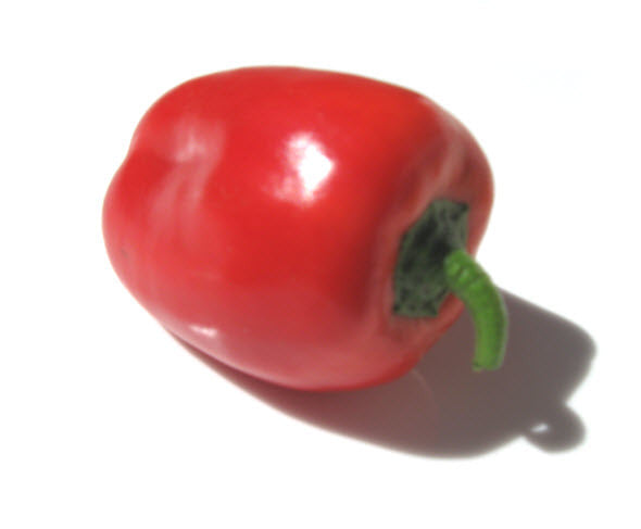 Cute Stuff Red Pepper – Glen Seeds