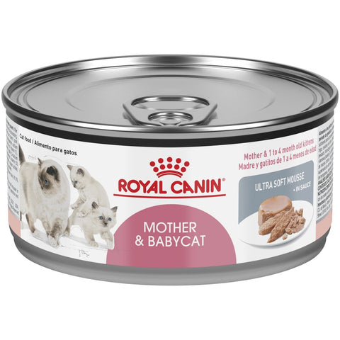 Royal Canin Feline Health Nutrition Mother Babycat Ultra Soft Mousse Village Pets Fair Oaks Ca