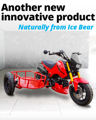 PMZ125-1S ICEBEAR MOTORCYLE 125CC FOR CHEAP. 3 WHEEL MOTORCYCLE FOR SALE UBER DELVIERY BIKE FOR CHEAP ONLINE