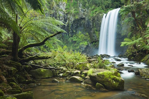 Otway National Park