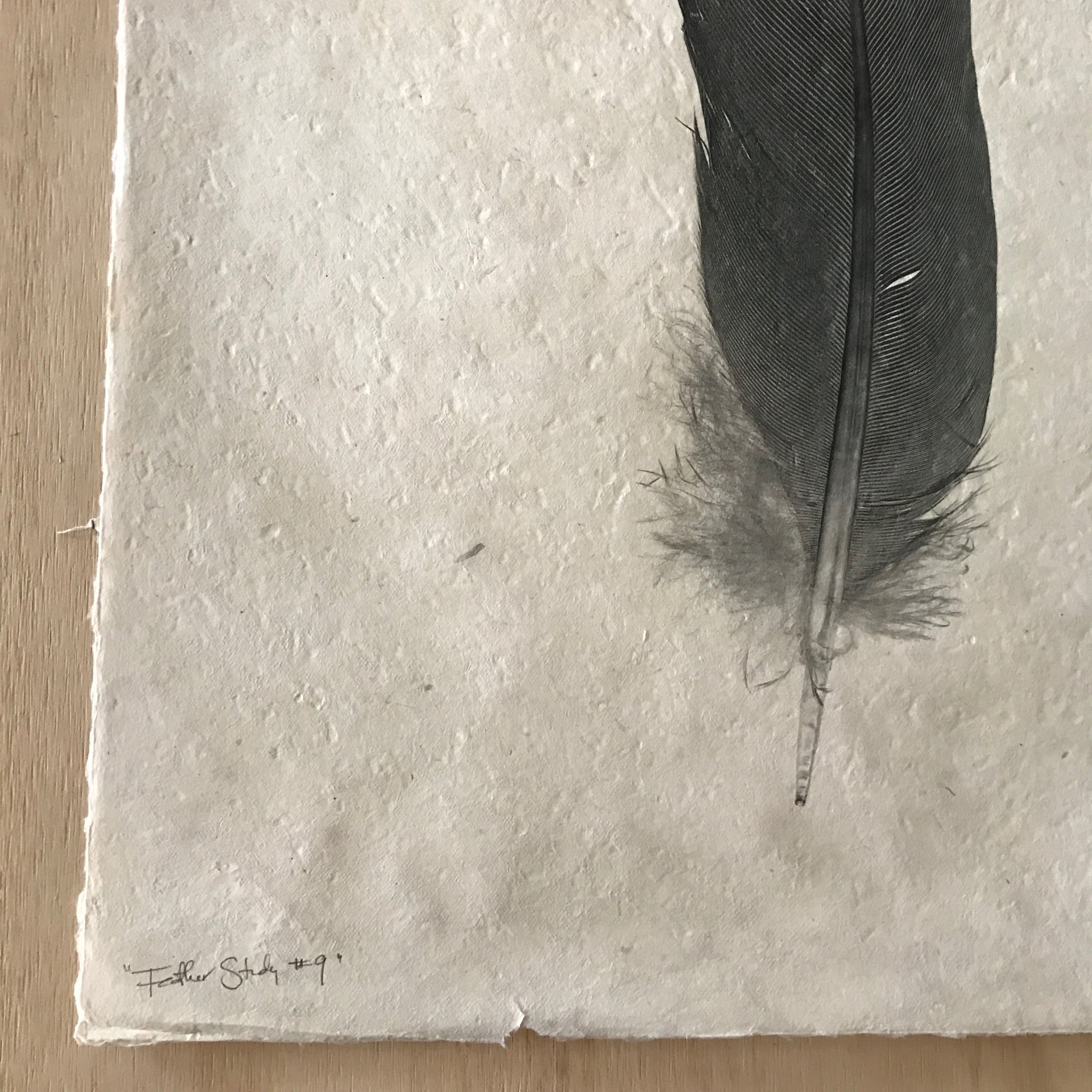 Feather Study Number 9 by Barloga Studios – Upstate MN