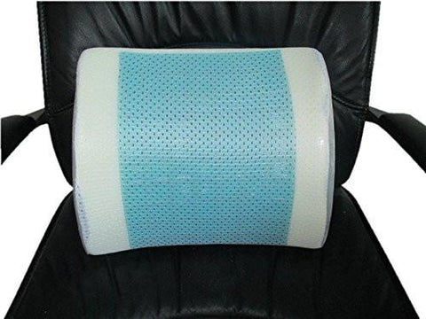Bael Wellness Lumbar Support Back Cushion & Pillow
