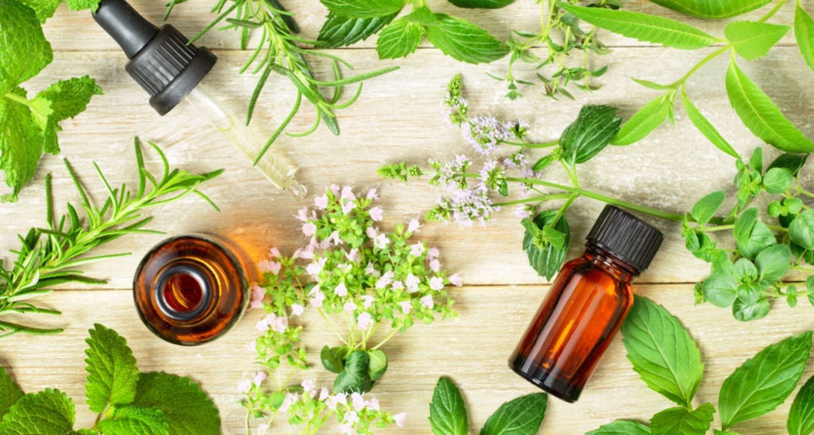 peppermint_essential_oils_for_tummy_ache_relief