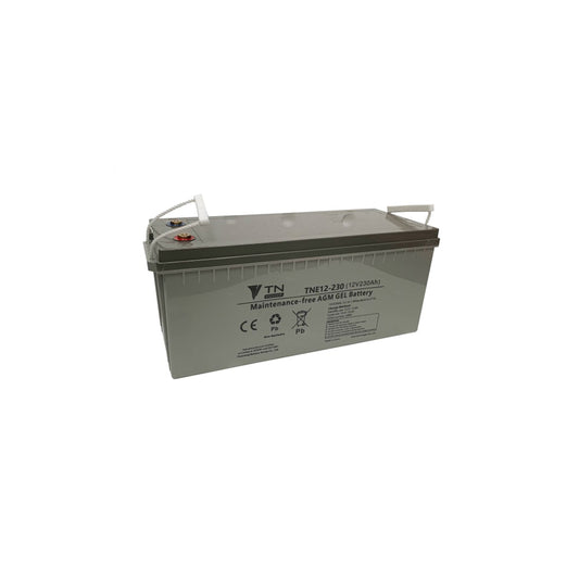 BATTERIE AGM TNE 12-25 12V 25Ah VRLA