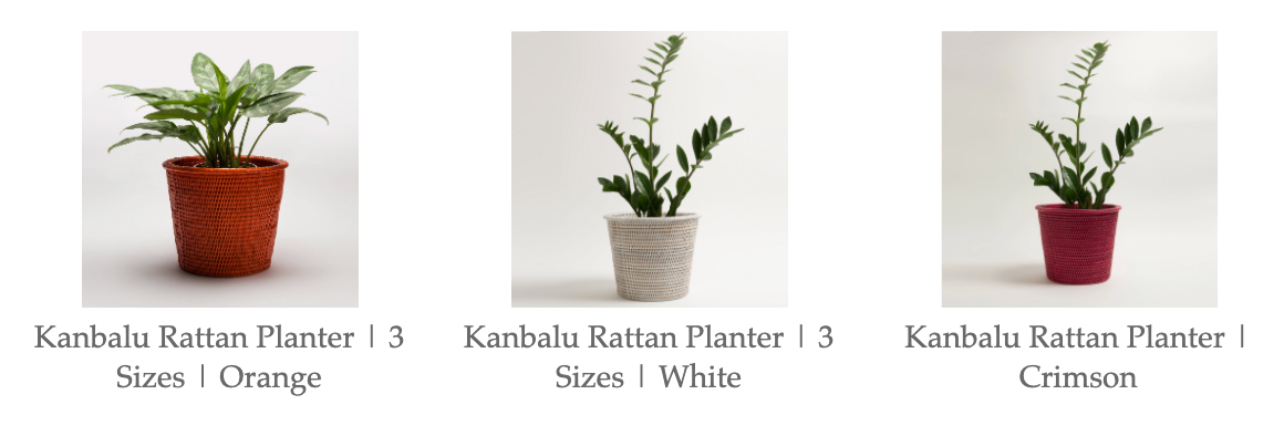 Kanbalu Planters