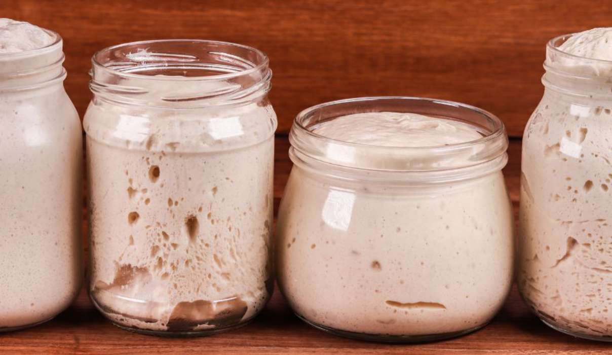 Poolish vs Biga Pre-Ferment in jars