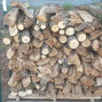 Pecan Wood Logs for Cooking