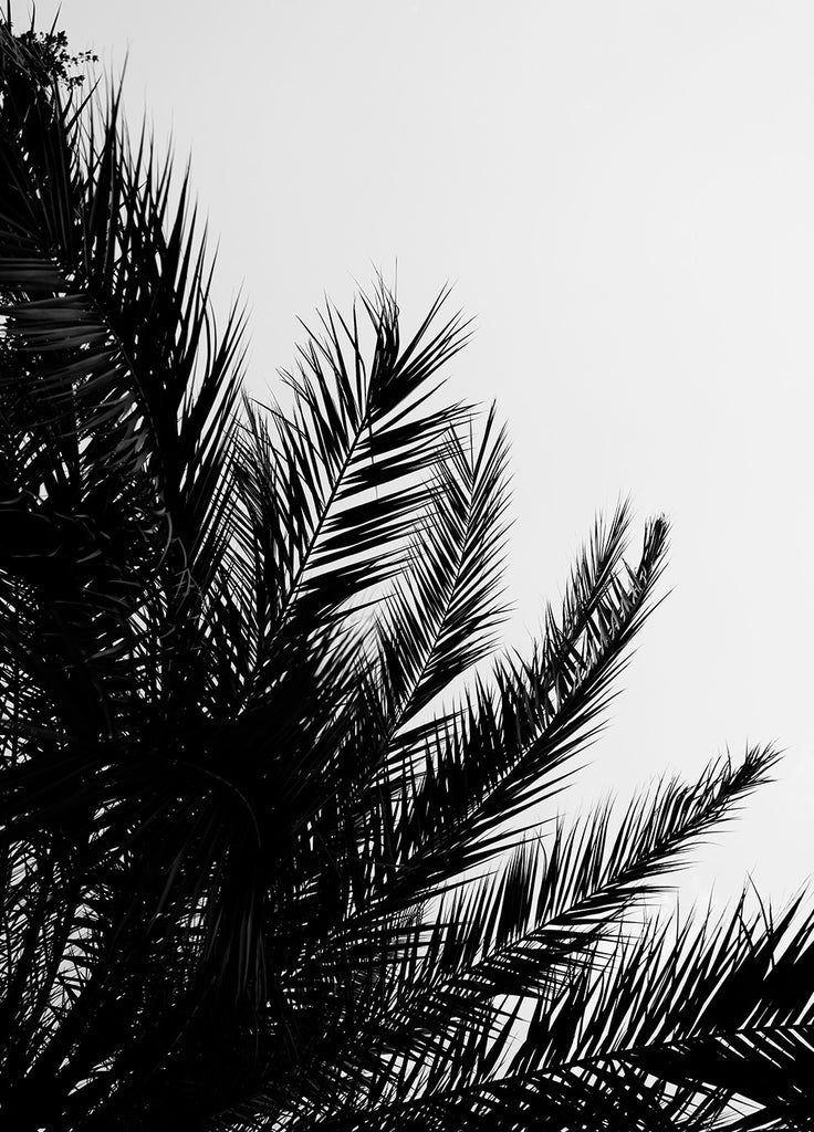 Palm print set – cocolapine