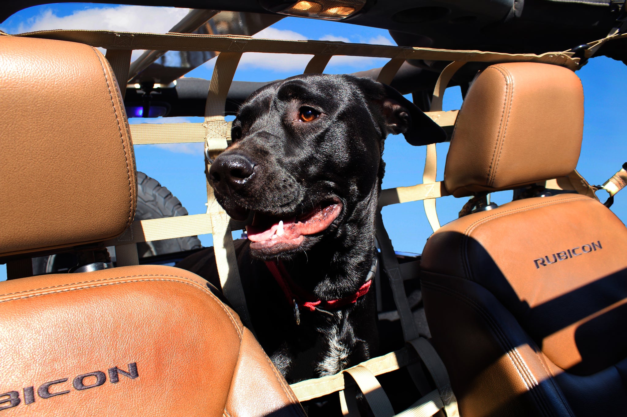 jeep dog barrier net