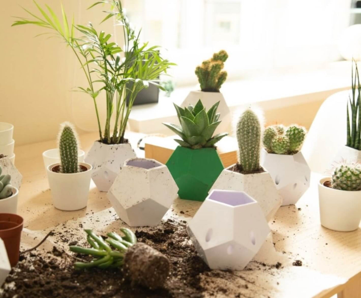 Different planting options in Lyfe levitating planter