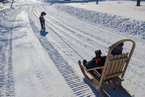 Boy on kicksled pulled by dog in winter