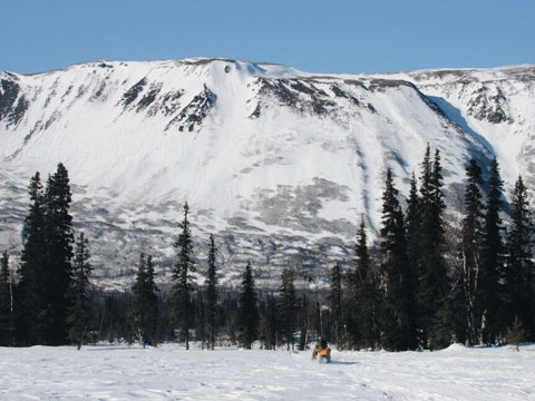 Snowmobile with cargo toboggan in landscape