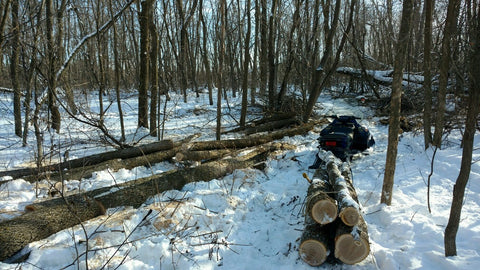 wood hauling toboggan