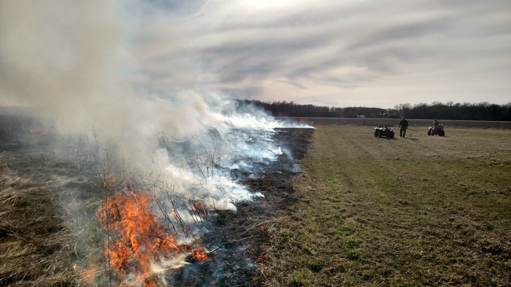 Smoke rolling off of the burning field