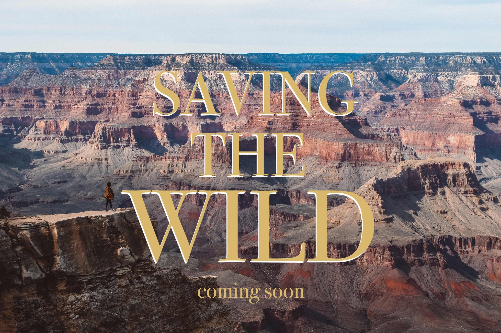 Saving the Wild