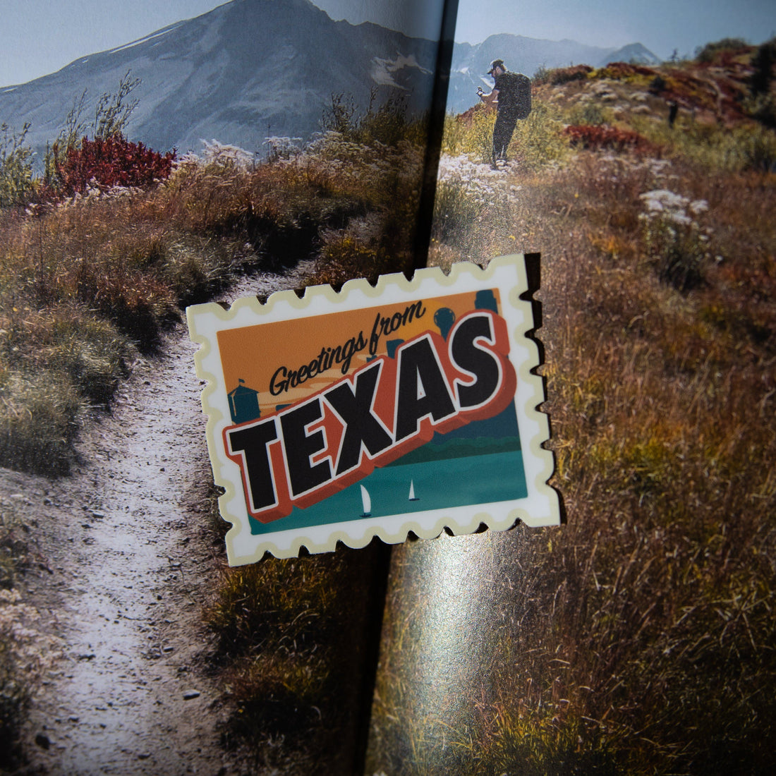 Texas State Sticker Pack - dermovitalia