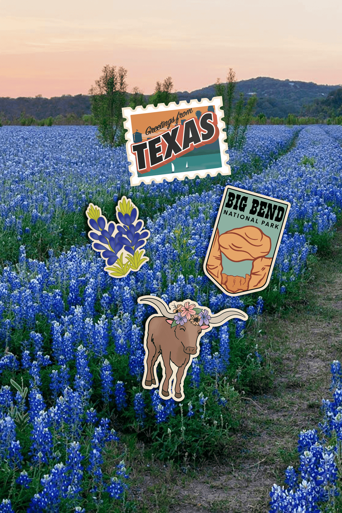 Texas State Sticker Pack - dermovitalia