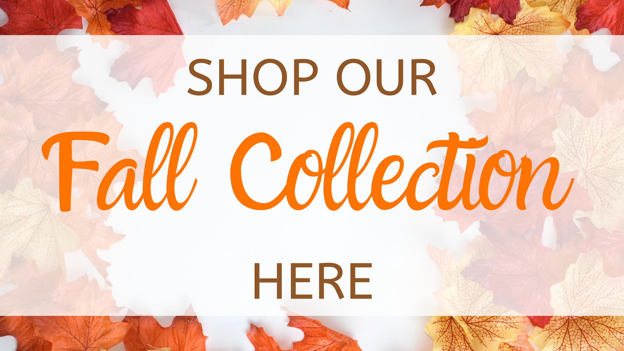 Shop Our Entire Fall Collection