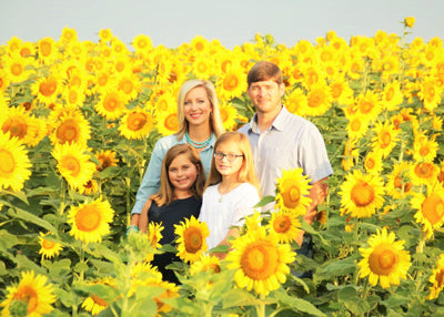 Oliver Family Farm sunflower field