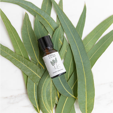 Ollie eucalyptus oil