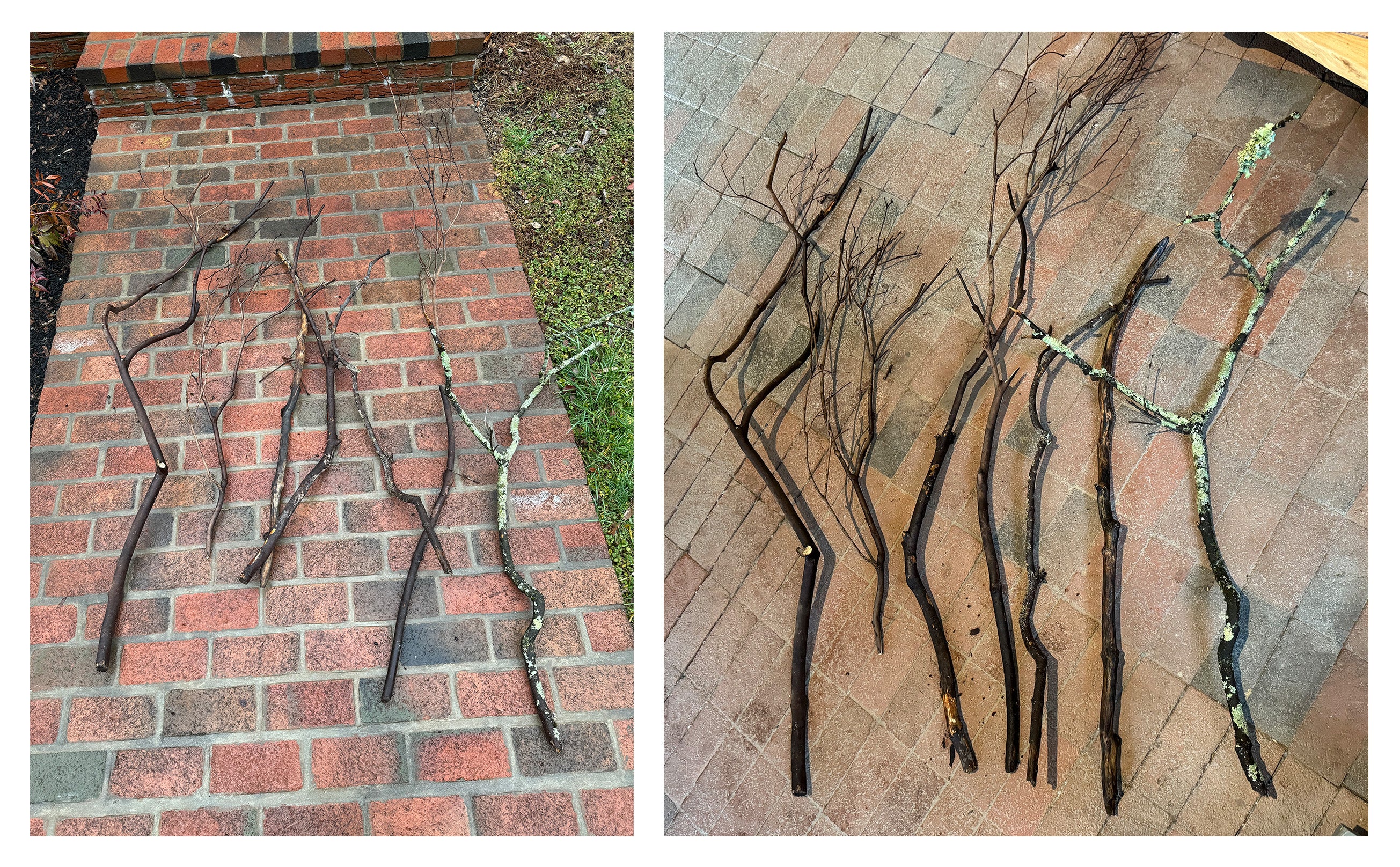 Image on left of branches laying on brick pathway outside, image on right of branches laying on brick floor inside