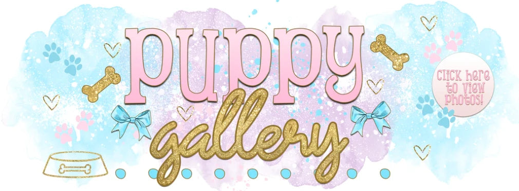 Puppy Gallery