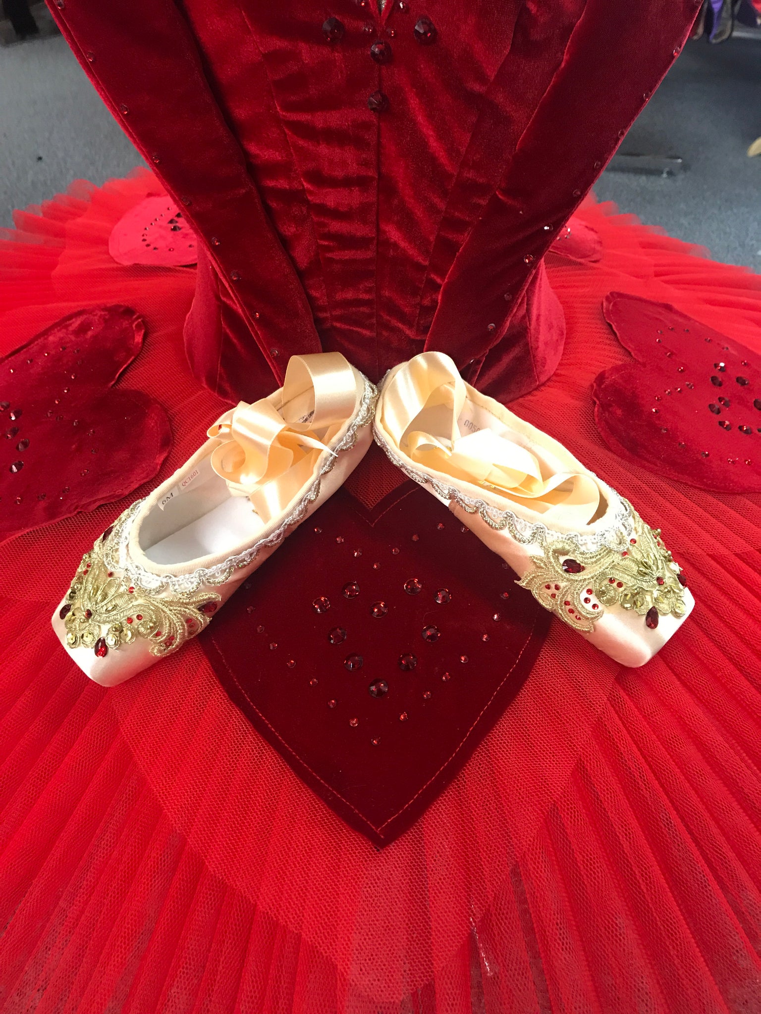 decorated pointe shoes