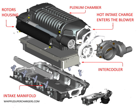 whipple supercharger heat exchangers