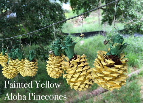 aloha pineapple pine cones