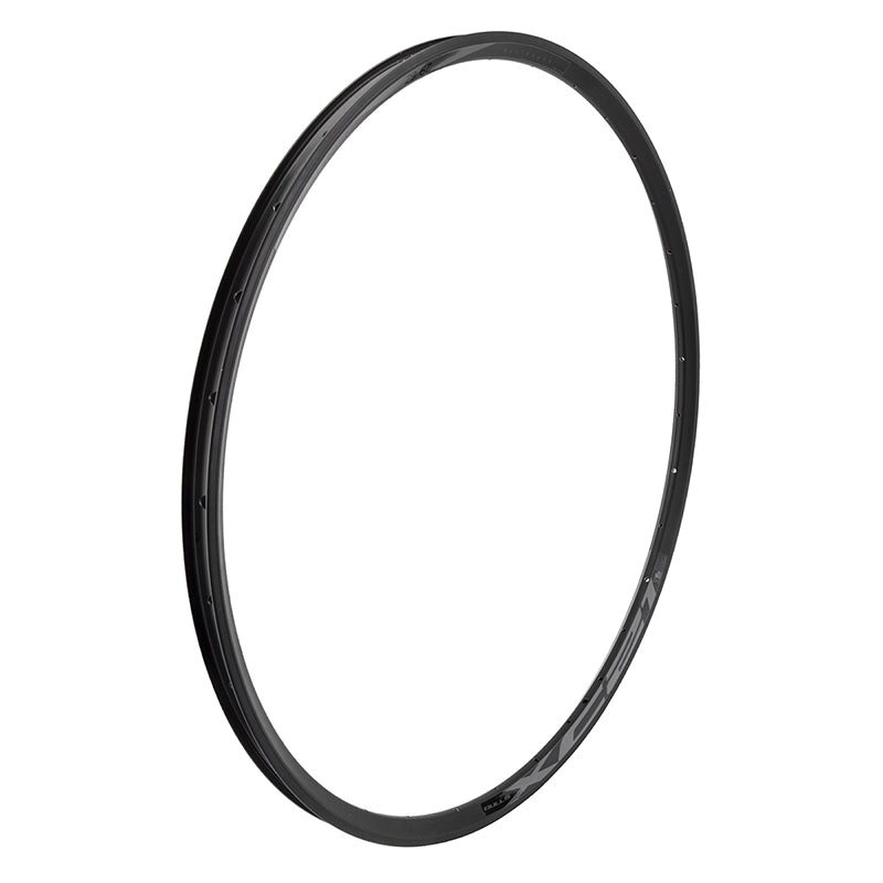 wtb xc21 rim