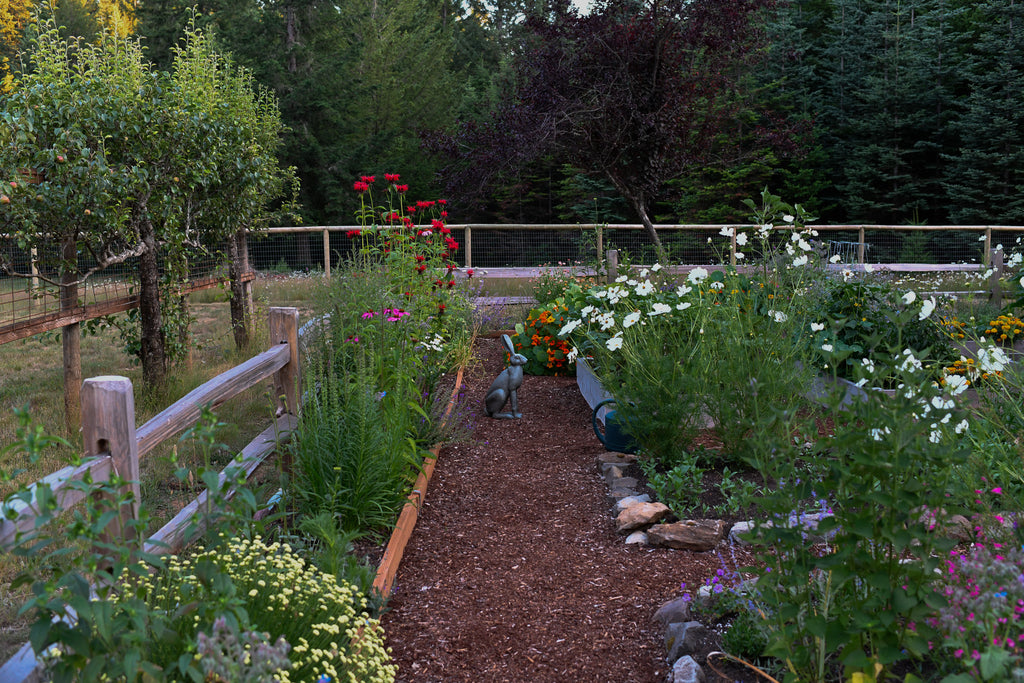 raised bed flower garden