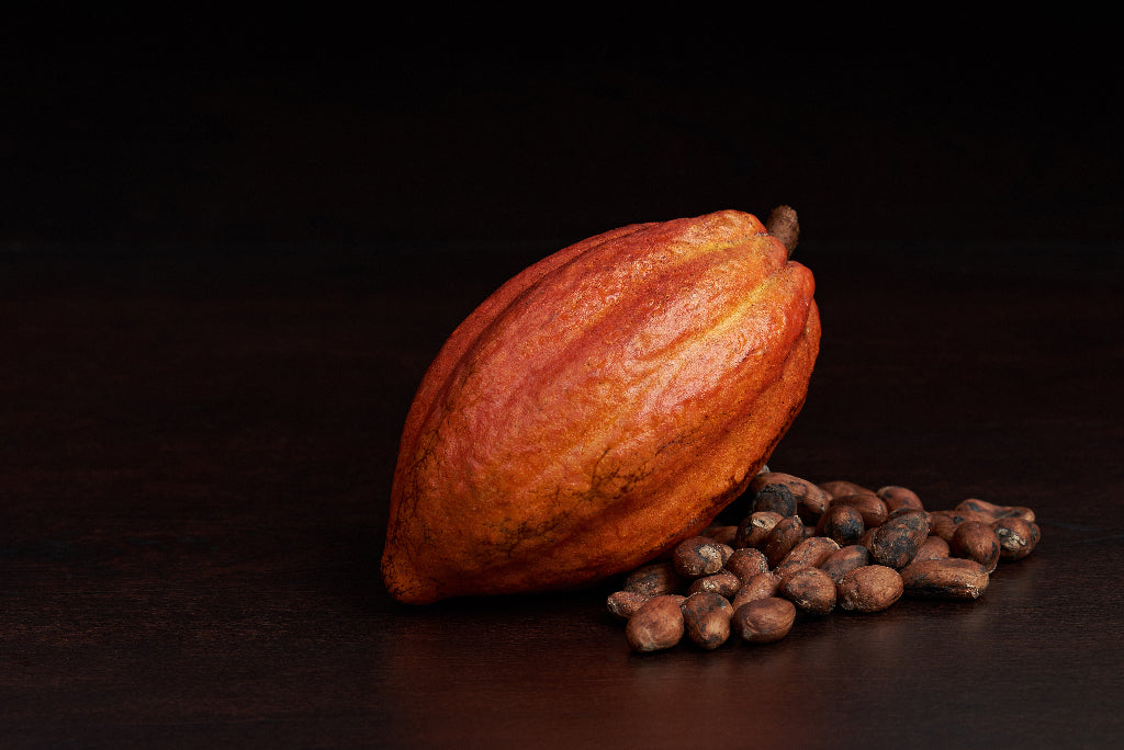 Cacao Pod and Beans