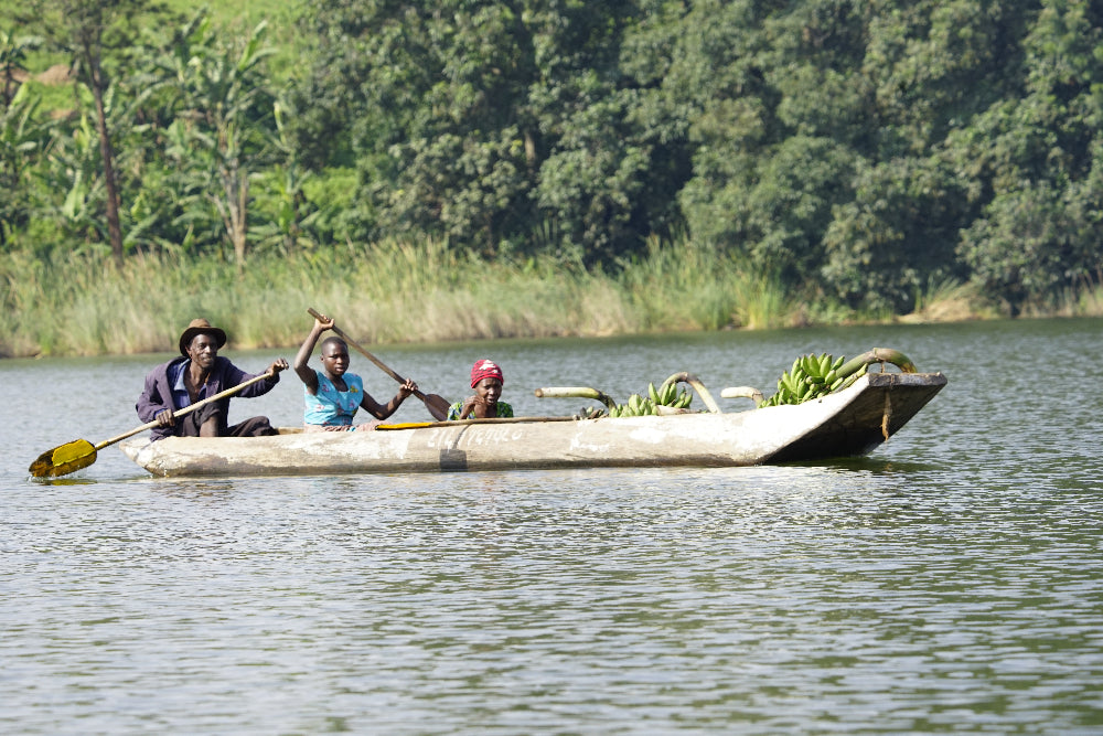 Rwanda Lake Kivu Bananas