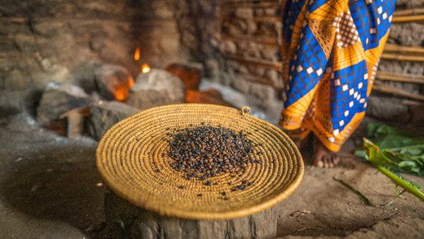 Uganda coffee beans for Moka Origins