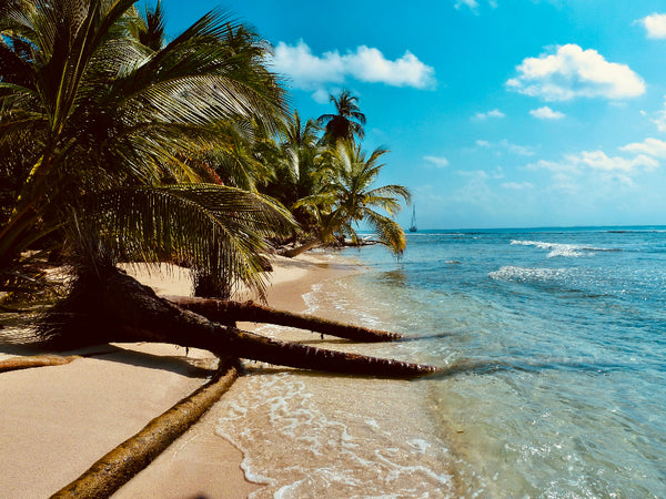 San Blas Islands, Panama, Chocolate Drink