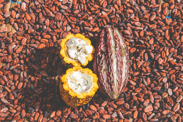 Moka Origins, Chocolate, Organic, Open Cacao Pods