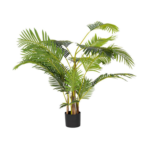 Leather Gallery Faux Areca Plant